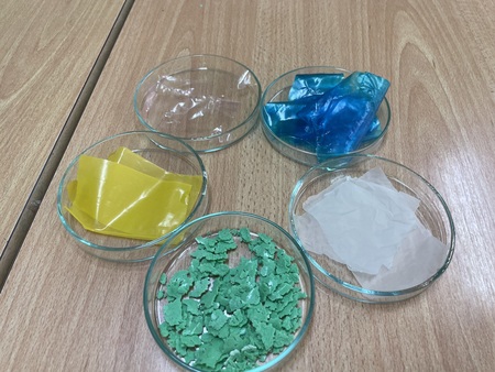 Naravoslovni-dan (2)